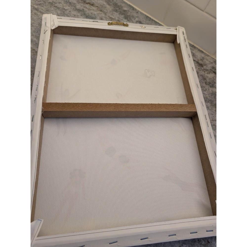 Minnows I by Victoria Borges Stretched Canvas 12x16 Set Of 2 Prints - Picture 6 of 12